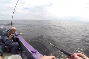 Рыбалка на рыбинском водохранилище летом
