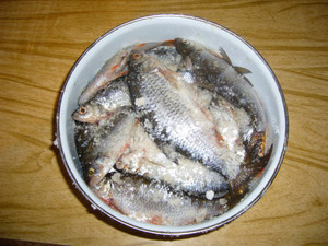 Вкусные рецепты соления рыб