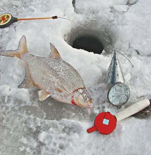  советы для успешной зимней рыбалки со льда