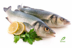 Особенности приготовления рыбы