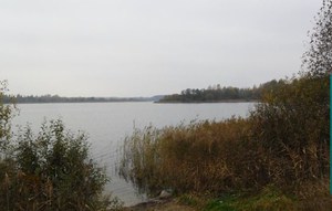 Зароновское озеро Витебский район