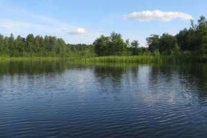 Озеро Краснодворское Витебская область