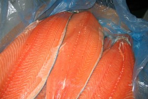 Чем отличаются лосось и семга