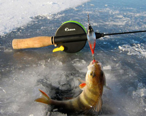 Блёсны для зимней рыбалки на окуня