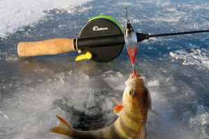 Блёсны для зимней рыбалки на окуня