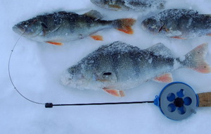 Рыбная ловля на чёртик зимой