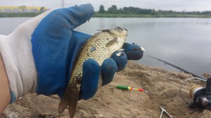 Рыбалка на челябинских озерах