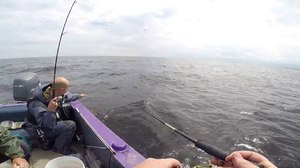 Рыбалка на рыбинском водохранилище летом