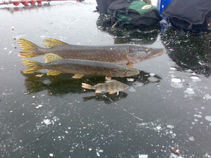Особенности зимней рыбалки в водах Тольятти