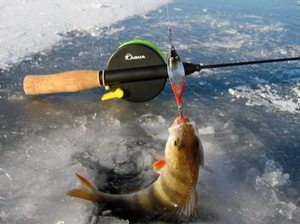 Как ловить рыбу на блесны