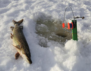 Как правильно оснастить жерлицу для зимней рыбалки