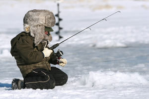 Еска для зимней рыбалки: виды