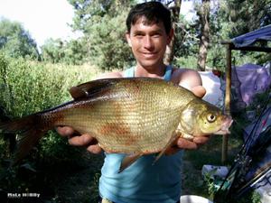 Отчет о рыбалке: Истринское водохранилище