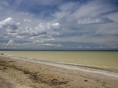 Цимлянское водохранилище отдых фото