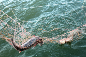 Как плести сеть для рыбалки