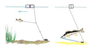 Особенности снастей для зимней рыбалки