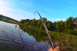 Как выбрать удочку для летней рыбалки