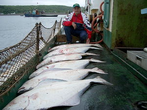 Рыбалка сахалин