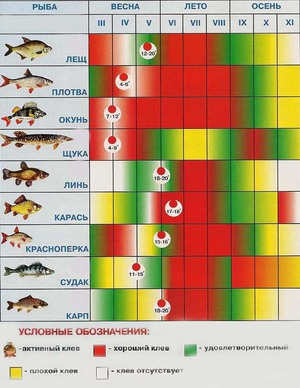 Рыболовный календарь 