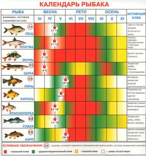 Рыбацкий календарь