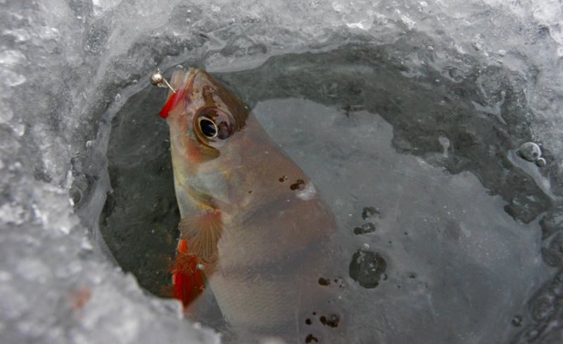 Особенности зимней рыбалки