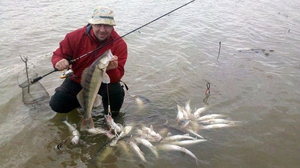 Места для рыбалки в Воронежской области - Рыбалка на Дону
