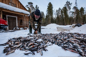 Особенности рыбалки на севере