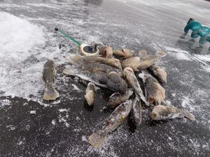 Как рыбачить зимой