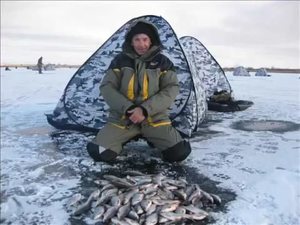 Рыбалка в Магнитогорске: места для лова и прогноз клева