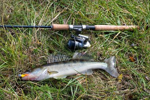 Рыбалка на Пестовском водохранилище