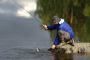 Ленинградская область- рай для рыболова