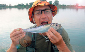Рыбные места в Ростовской области