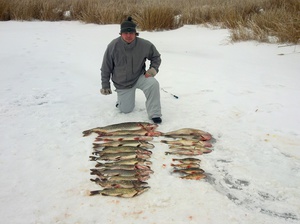 Рыбалка в Ростове
