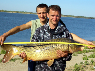 Рыбалка на могучей реке Волга с берега и лодки фото видео
